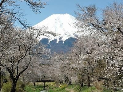 Oshino Pension Sumomo No Ki מראה חיצוני תמונה