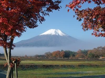Oshino Pension Sumomo No Ki מראה חיצוני תמונה